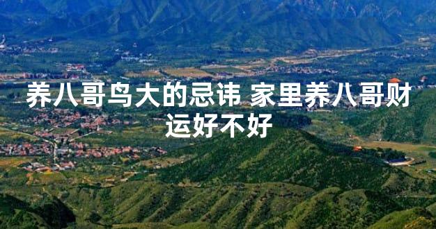 养八哥鸟大的忌讳 家里养八哥财运好不好
